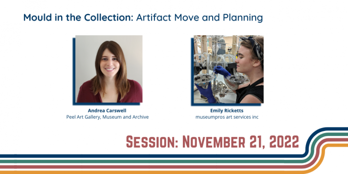 Session Nov. 21, 2022, online, Mould in the Collection: Artifact Move and Planning