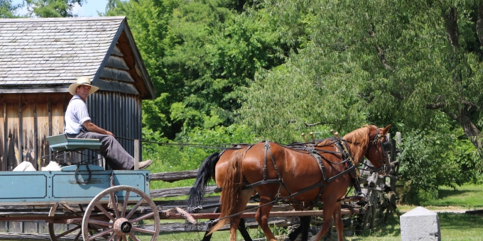 Horse Driver at Upper Canada Village
