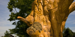maple tree carved by local sculptor Adam Connolly depicting the history of the Mississaugas of Scugog Island First Nation