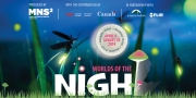 Special Exhibition | Worlds of the Night